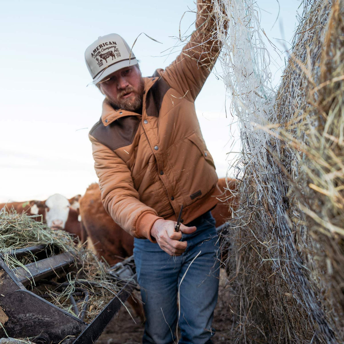 Cutting hay