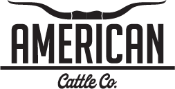Black and white logo for "American Cattle Co." The word "AMERICAN" is in large capital letters above "Cattle Co." in script. A stylized longhorn graphic appears above the text.