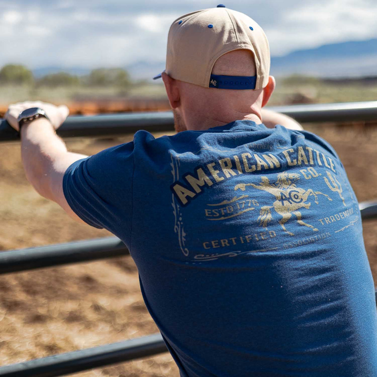 A person in a blue Bucking Horse Tee by American Cattle Co and a beige cap faces away, leaning on a metal fence and gazing at a cattle field. The tee features a cowboy graphic and retro rodeo text on the back.