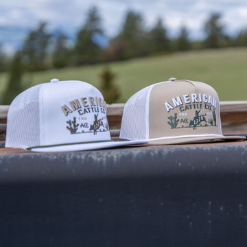 Two trucker hats from American Cattle Co, including the 8-Second Hat with a flatbill profile and mesh back, sit side by side on a metal surface outdoors. Both display "American Cattle Co." on front, with a field and trees in the background.