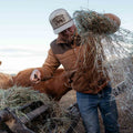 Wearing the Rural Cloth Cold Snap Puffer and a cap, a person feeds hay to cattle outdoors, holding a bundle in one hand and using a tool with the other as cows graze nearby.
